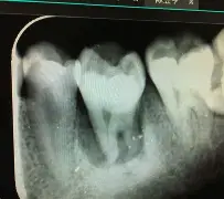 #oTs`O畞x镊dX/浄鷠S賃*P|應F}.VeF聒X@ィ9?釔tb頬DP?C殾n?